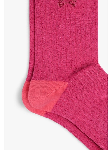 Scalpers Κάλτσες σε ροζ