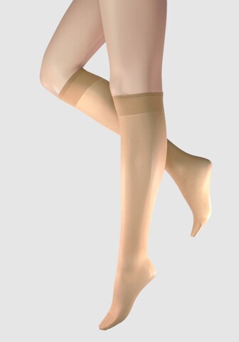 Esda Knee High Socks in Beige