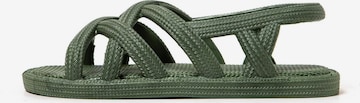 Brasileras Sandale 'Ankara' in Grün: Vorderseite