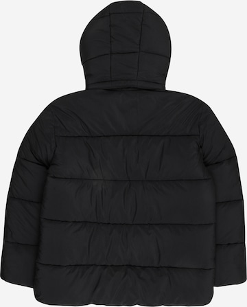 SCOTCH & SODA Winter jacket in Black