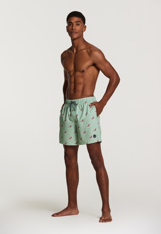 Shiwi Board Shorts 'chili pepper 4-way stretch' in Grün