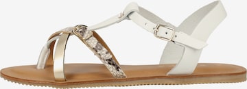 SCAPA T-Bar Sandals in White