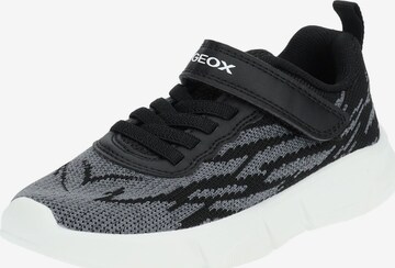 GEOX Sneakers in Black: front