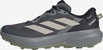 ADIDAS TERREX Flats 'Tracefinder Plus' in Grey: front