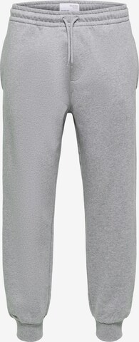 SELECTED HOMME - Tapered Pantalón 'Beckman' en gris: frente