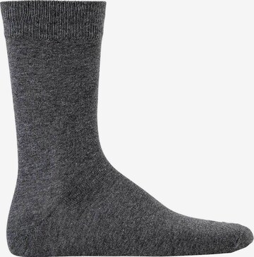 JACK & JONES Socken 'Jens' in Grau