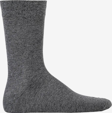 Chaussettes 'Jens' JACK & JONES en gris