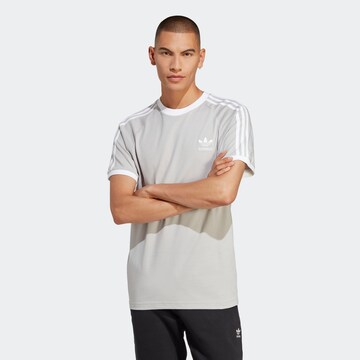 ADIDAS ORIGINALS T-Shirt 'Adicolor Classic' in Grau: predná strana