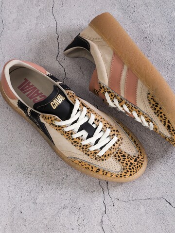 Caval Veterschoen ' HIGH PULSE ' in Beige: voorkant