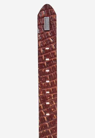 CIPO & BAXX Belt in Brown