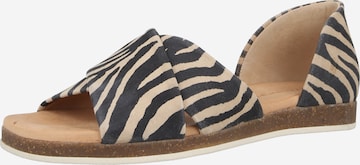 juoda Apple of Eden Balerinos 'CELINE': priekis