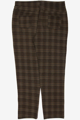 Freebird Pants in XL in Brown