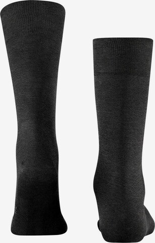 Chaussettes FALKE en gris