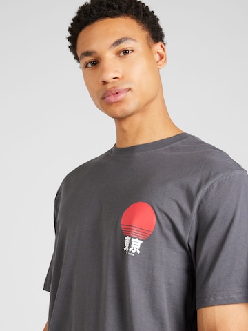 Only & Sons Bluser & t-shirts 'FALL' i grå