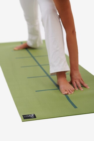 YOGISTAR.COM Yogamatte 'Plus Alignment' in Grün: predná strana