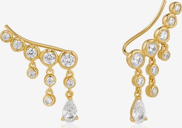 ANIA HAIE Ohrringe in Gold: Vorderseite