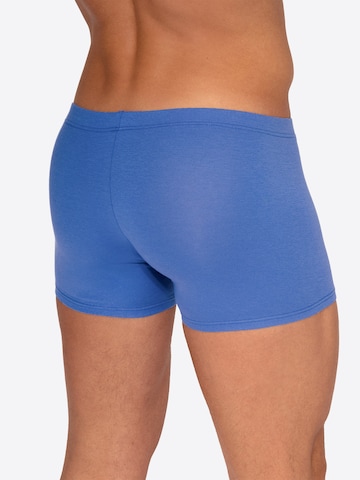 Boxers ' RED2556 Casualpants ' Olaf Benz en bleu