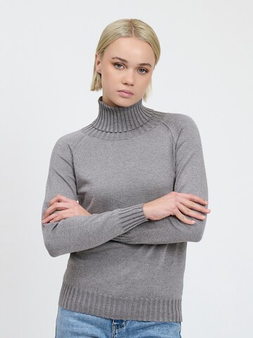 Influencer Sweater in Grey: front