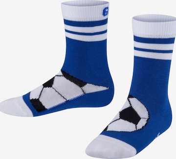 FALKE Socken 'Active Soccer' in Blau: Vorderseite