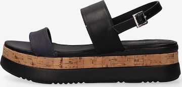 Alviero Martini Sandale in Schwarz: Vorderseite