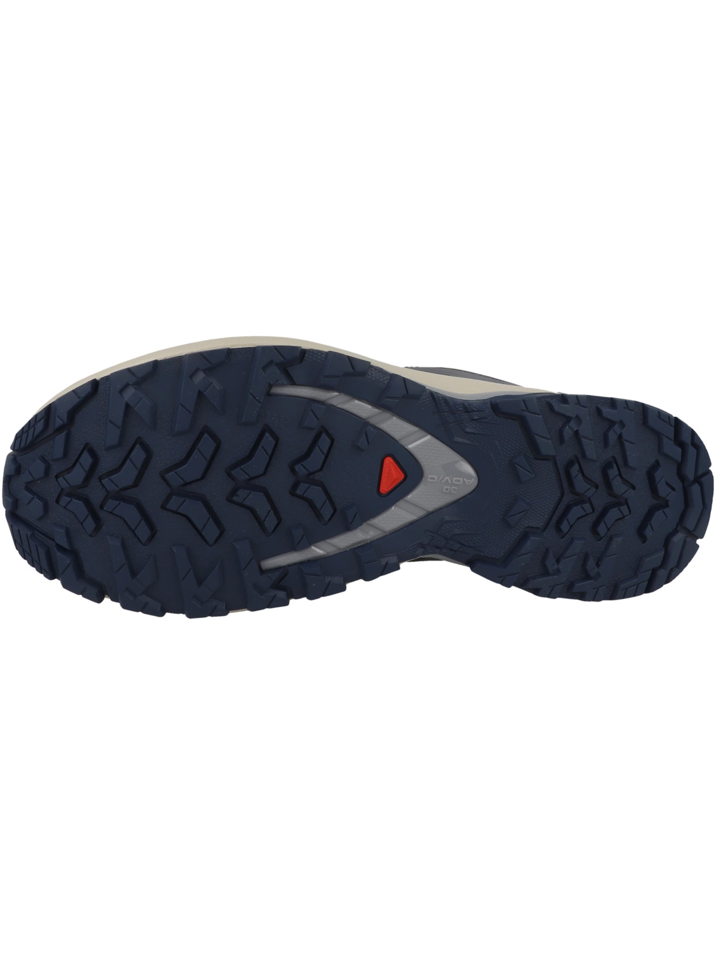 Chaussure de course 'XA Pro 3D V9' SALOMON en bleu
