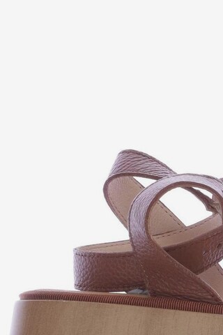 Wonders Sandals & High-Heeled Sandals in 38 in Brown