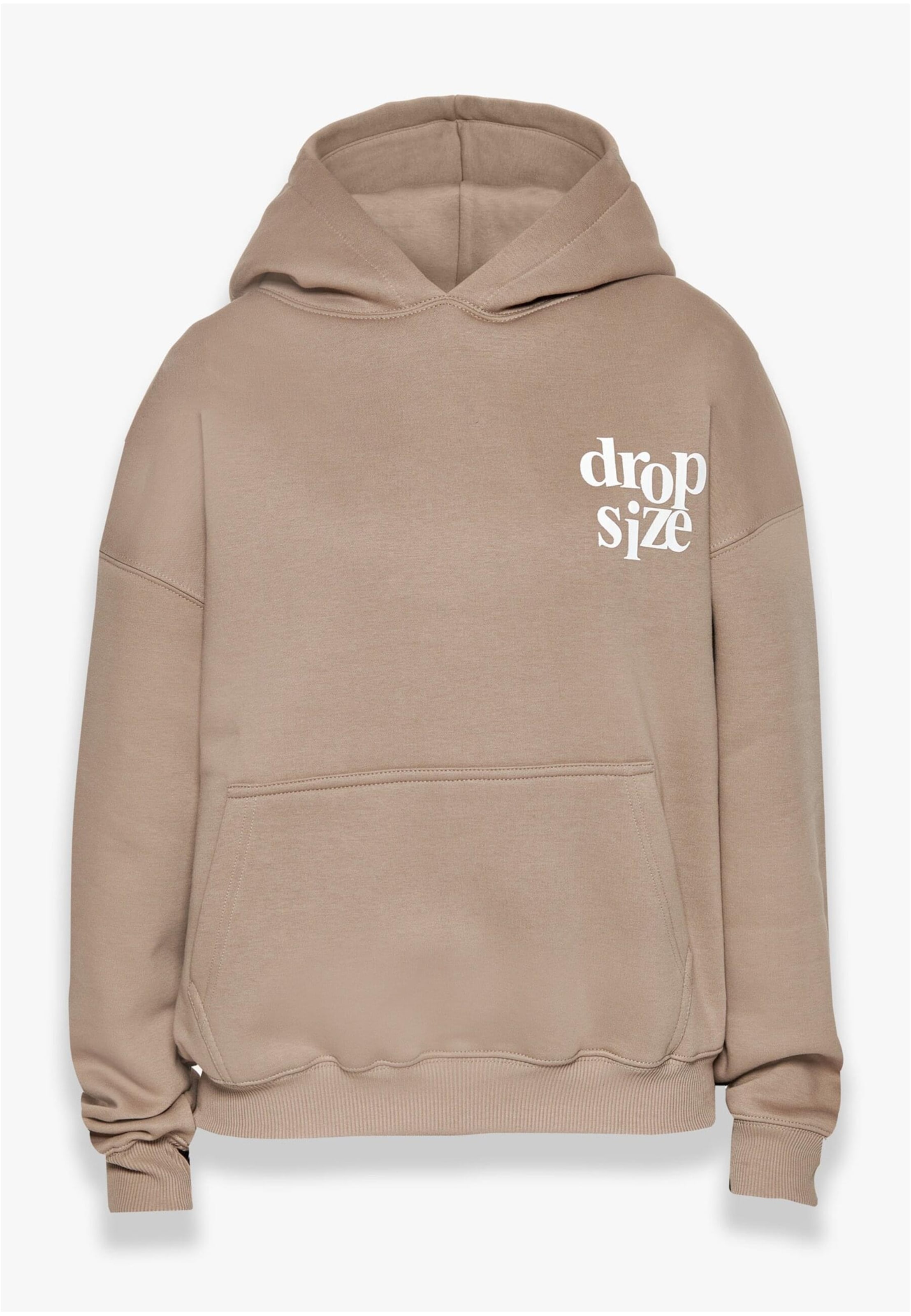 Dropsize Sweatshirt in Silver: front