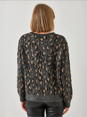 Bianco Lucci Trui in Grijs