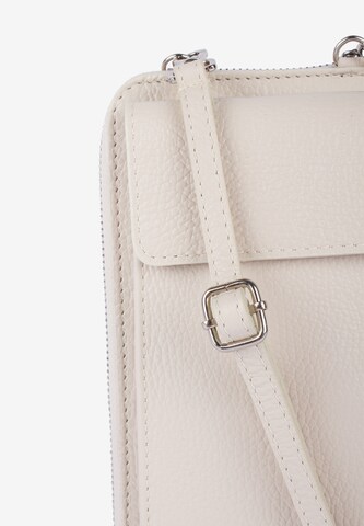 FELIPA Crossbody Bag in Beige