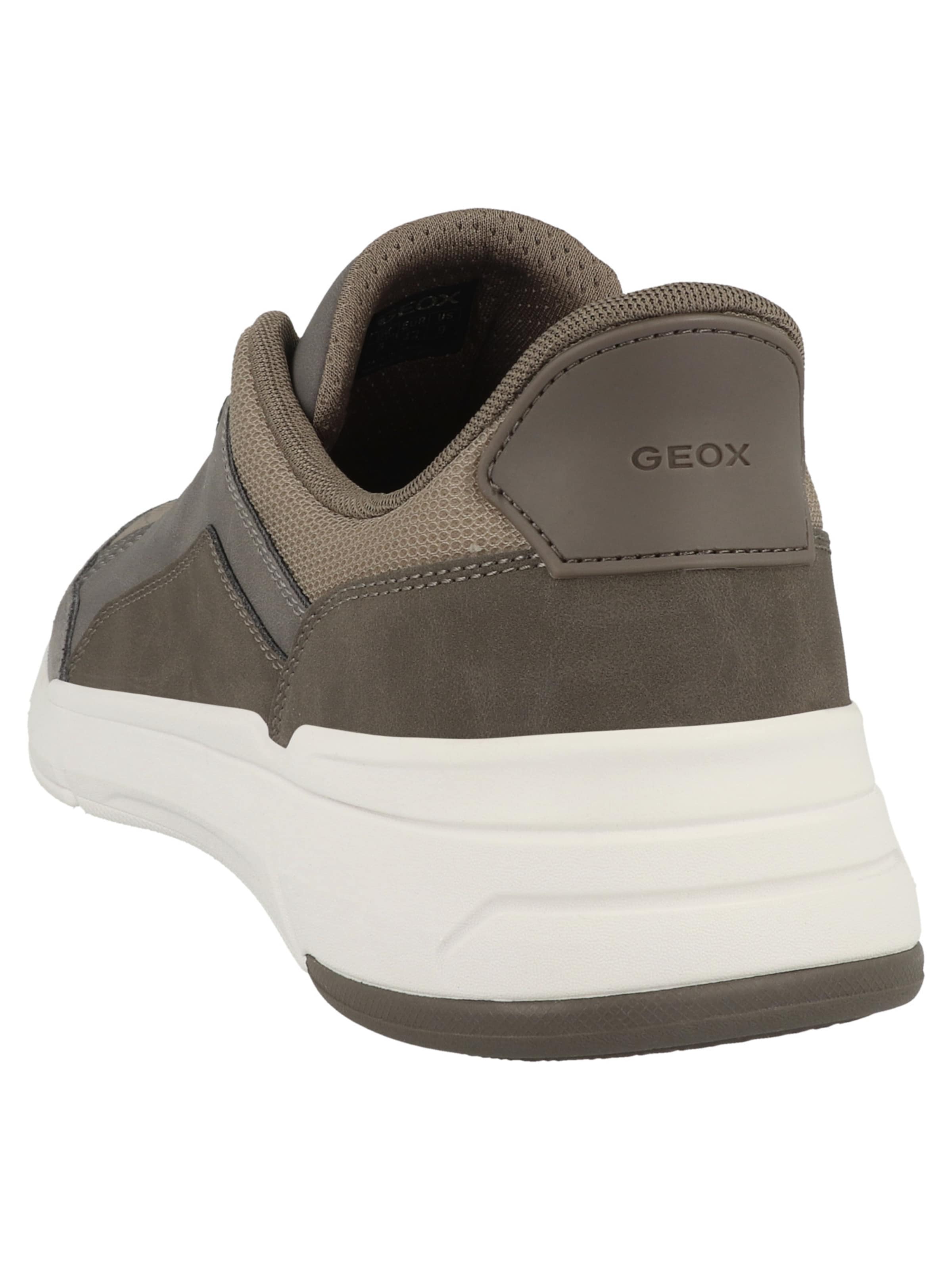 Baskets basses 'Plus A' GEOX en gris