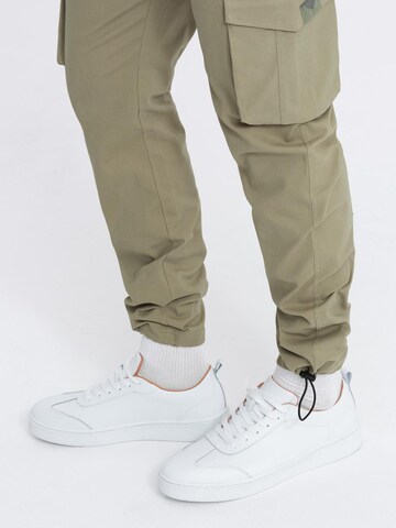 Ombre Regular Trousers in Green