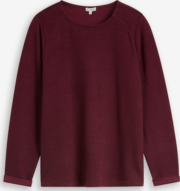 Pullover di Tom Tailor Women + in lilla: frontale