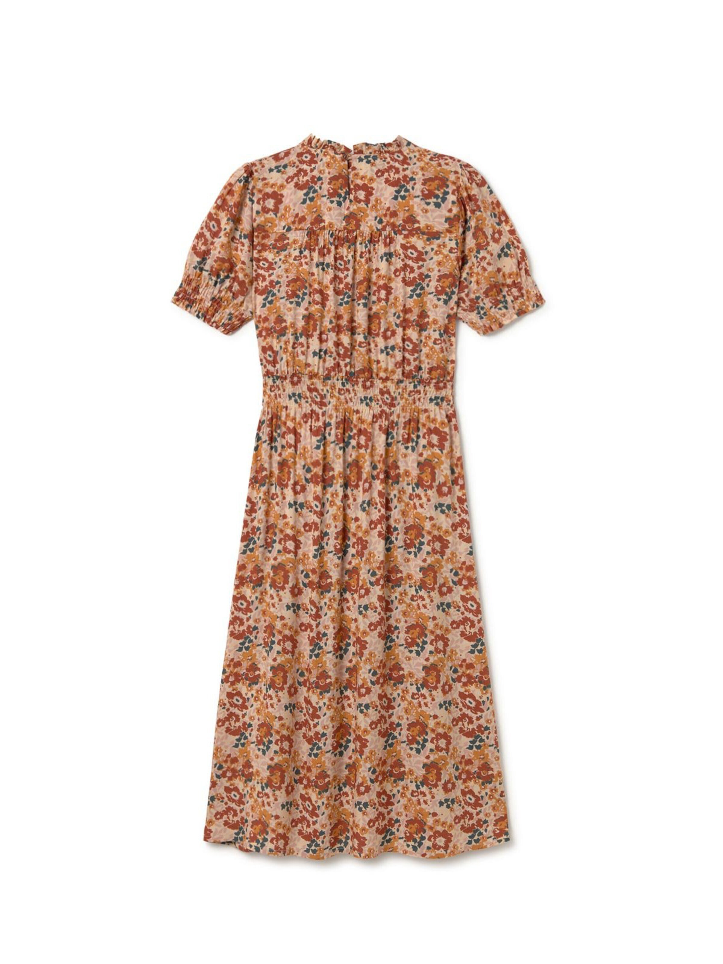 Twothirds Dress 'Grassholm - Rose Flowers' in Brown