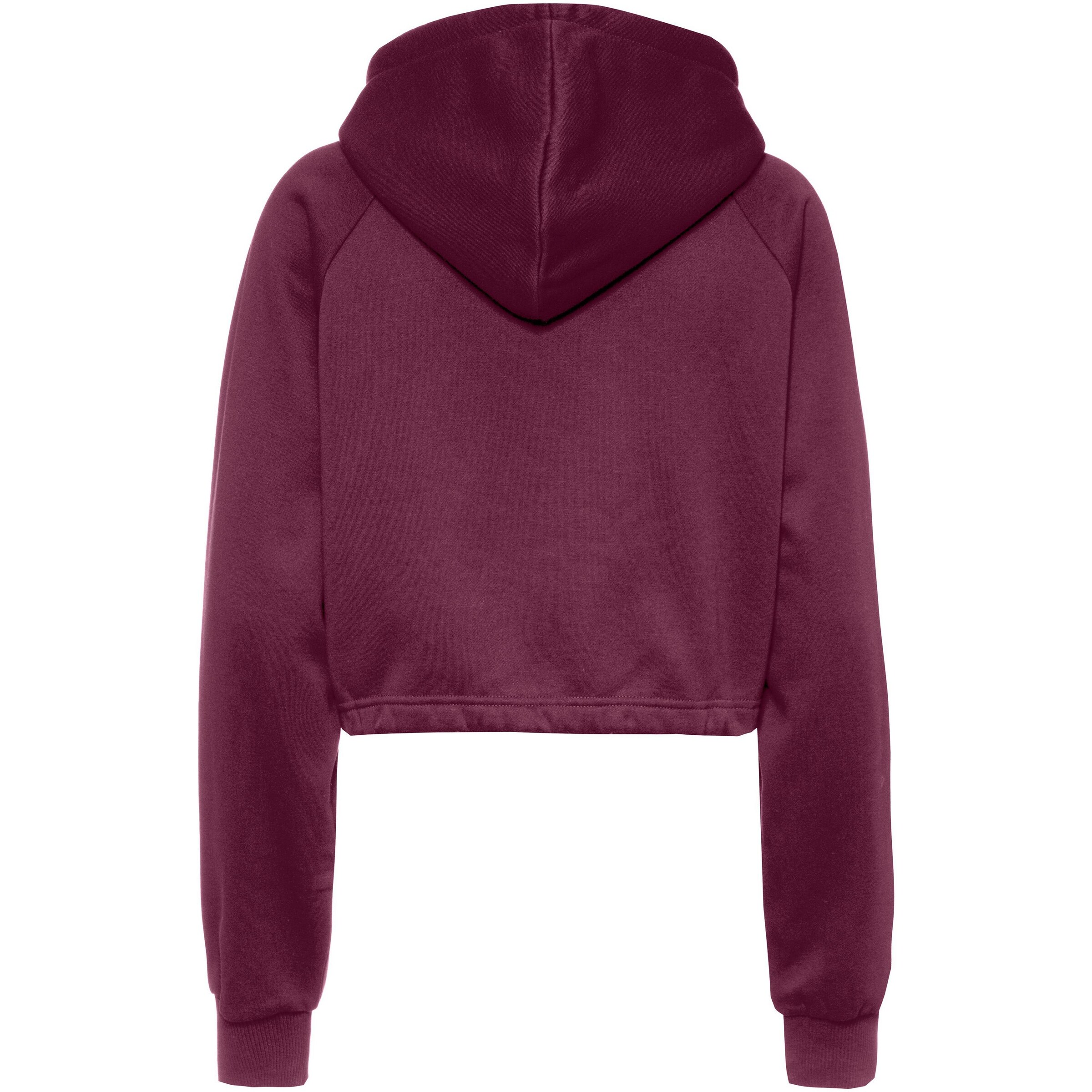 ICANIWILL Athletic Zip-Up Hoodie 'Everyday' in Red