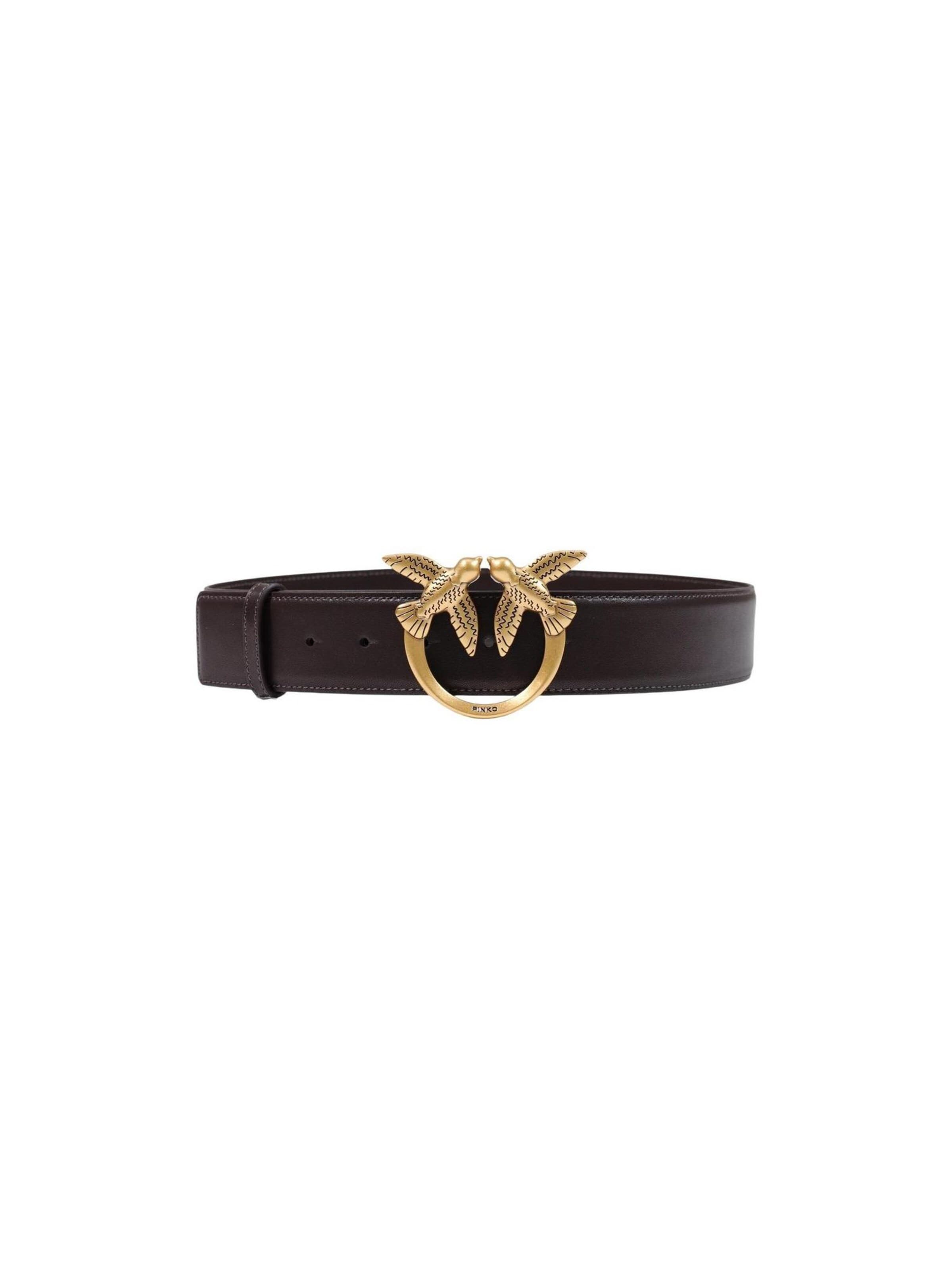 PINKO Riem 'ALTA LOVE BIRDS IN PELLE' in Bruin: voorkant