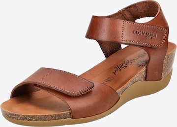 COSMOS COMFORT Sandal in Brown: front