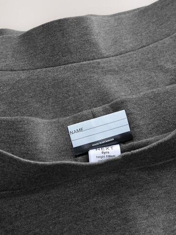 Next Skirt in Grey