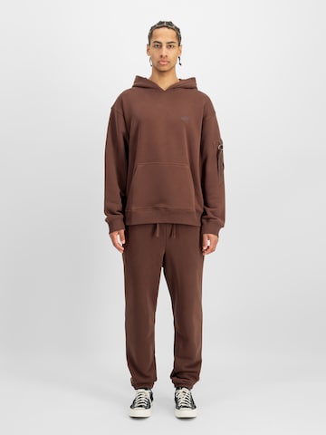 ALPHA INDUSTRIES Sweatshirt 'DTM ML' in Braun: Vorderseite