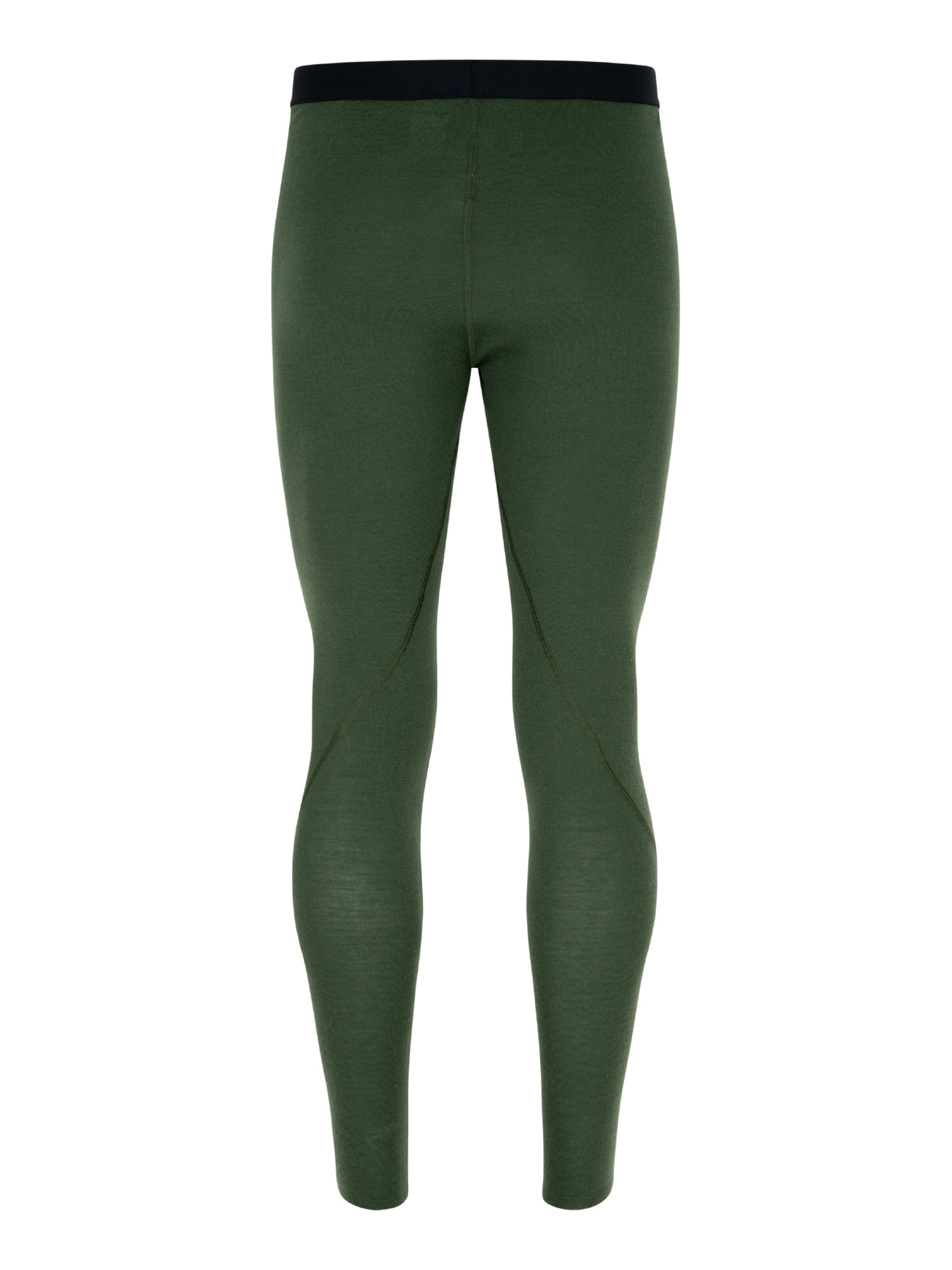 DANISH ENDURANCE Regular Funktionshose 'Merino' in Grün