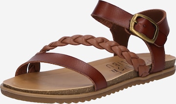 Blowfish Malibu Sandalen met riem 'Mylo' in Bruin: voorkant