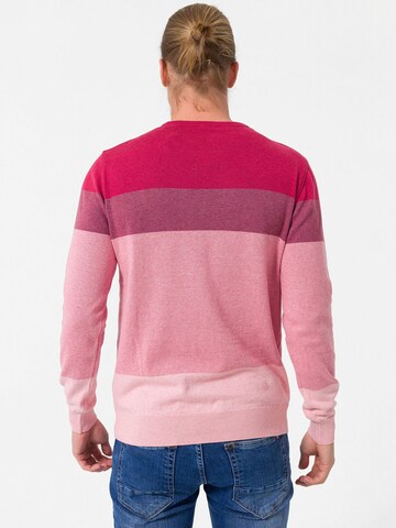 Dandalo Pullover in Pink