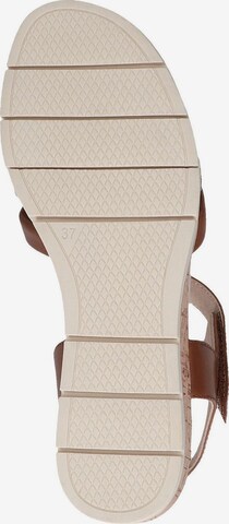 CAPRICE Strap Sandals in Brown