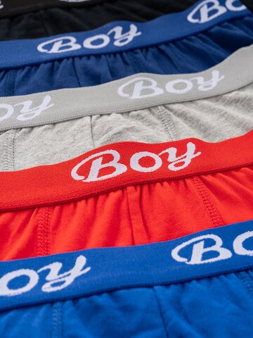 LOREZA Underpants 'Jungen Boxershorts Finn' in Mixed colours