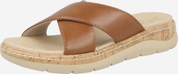 JANA Pistokkaat värissä ruskea: etupuoli