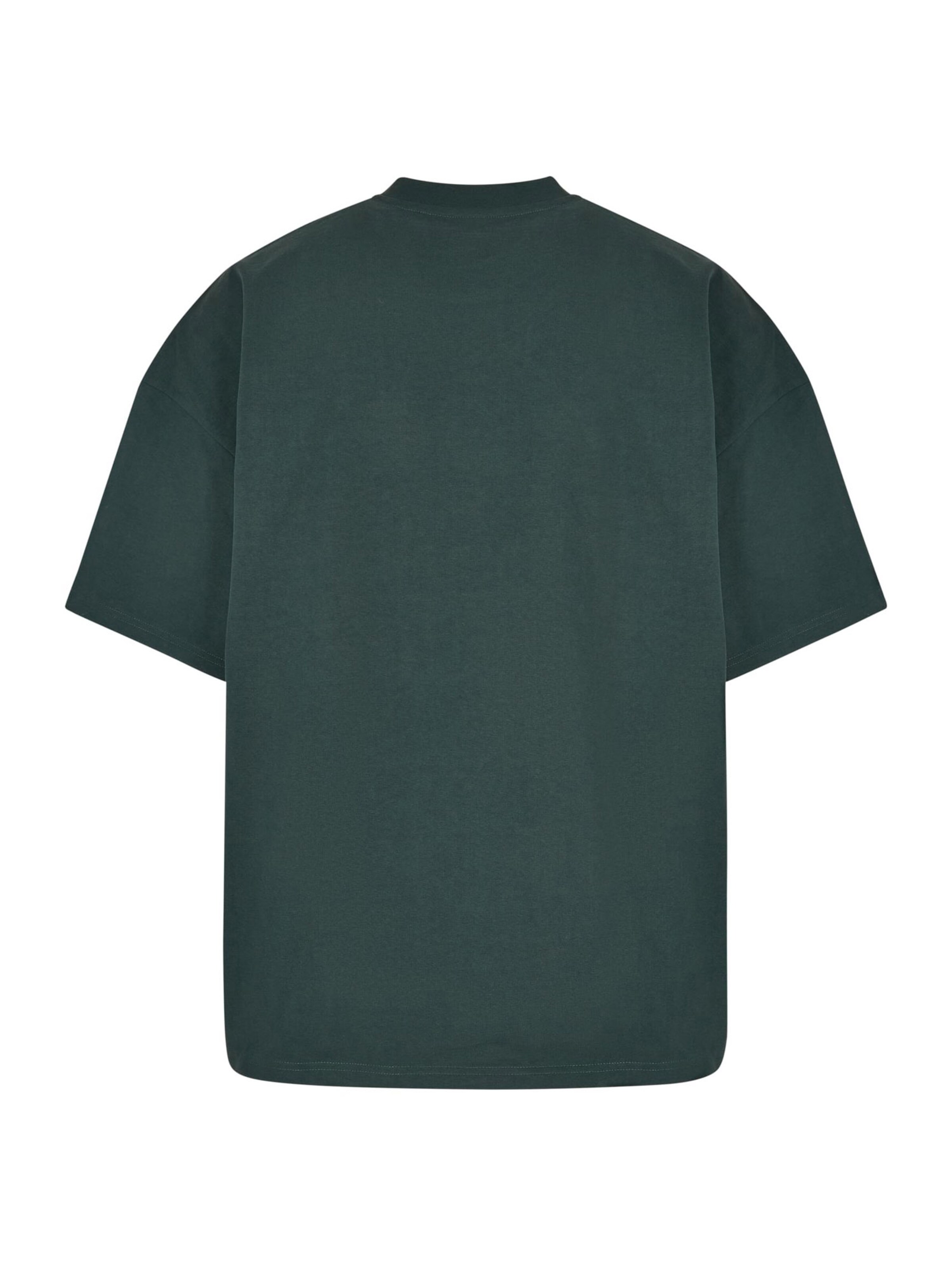 Urban Classics Shirt in Green