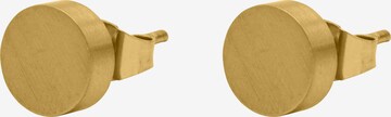 Steelwear Earring in Gold: front