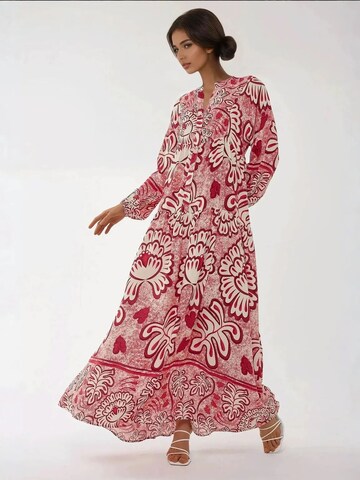Hiccup Kleid in Rot