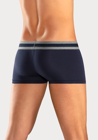 BENCH Boxershorts in Blau