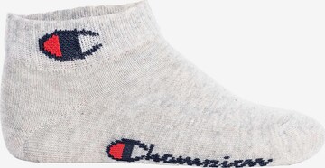 Champion Authentic Athletic Apparel Socks in Mixed colors