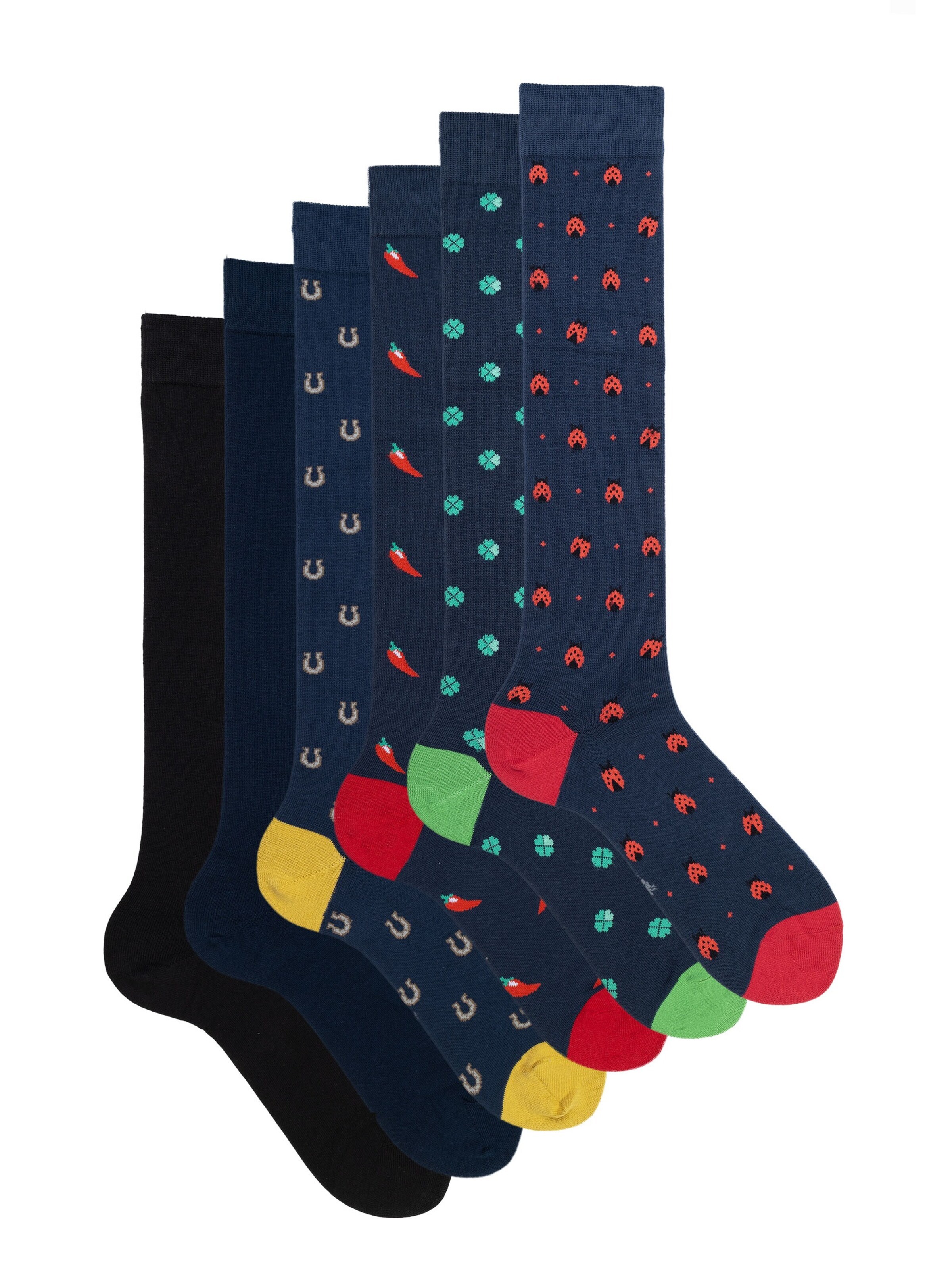 Ciocca Knee High Socks 'Scatola Regalo Calze Uomo in Cotone Caldo - 6 Paia Fantasia' in Gold: front